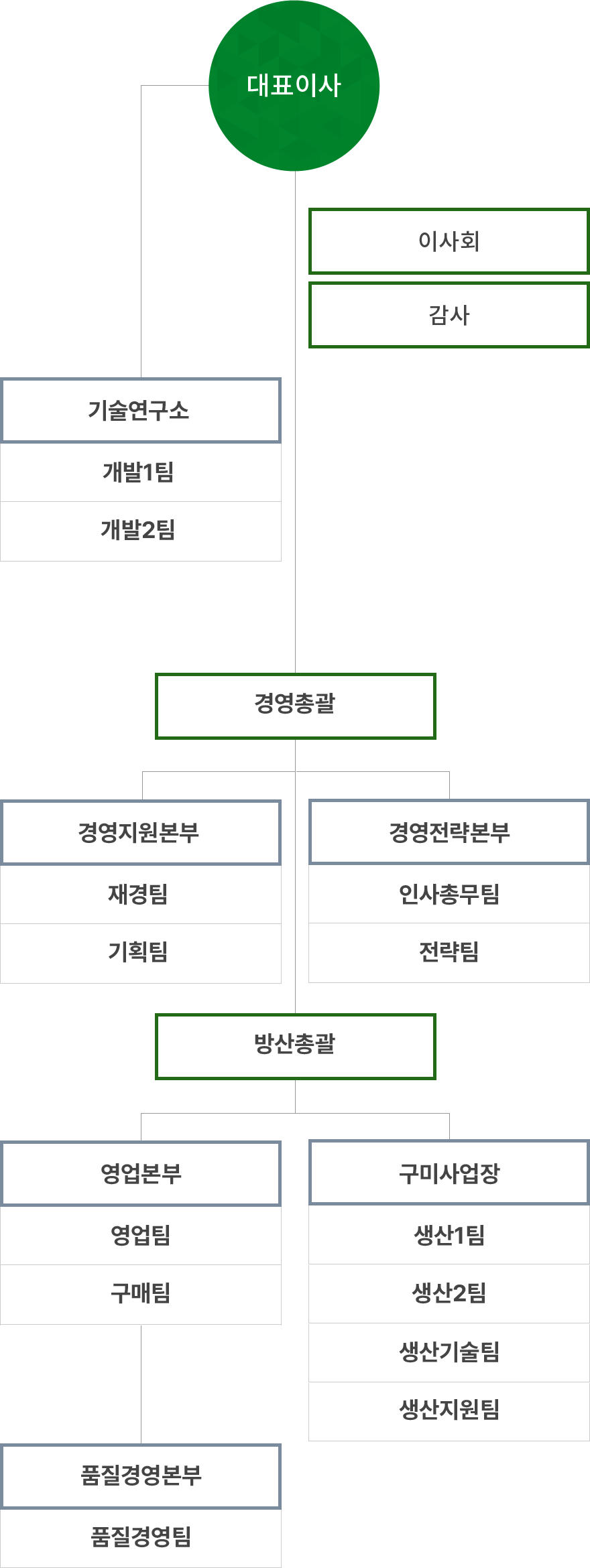 대표이사, 감사, 고문, 경영지원실-기획관리팀, 재경팀, HR팀, 영업본부-영업1팀, 영업2팀, 구매팀, 기술연구소-개발1팀, 개발2팀, 개발3팀, 개발 지원팀, 구미사업장-생산팀, 생산기술팀, 생산지원팀, 품질경영본부-품질경영팀